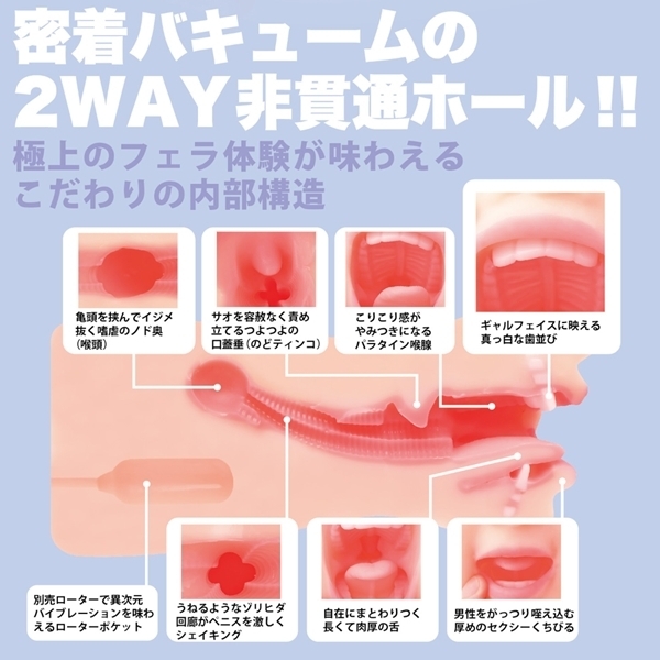 _tF@NVbN@iAX@蓮j