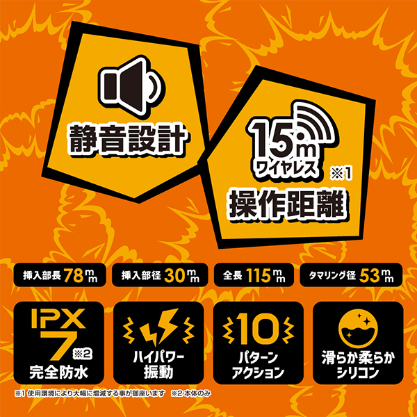 yQSRO~ʌz炵[^[@iq̐ۗpjllP_聄